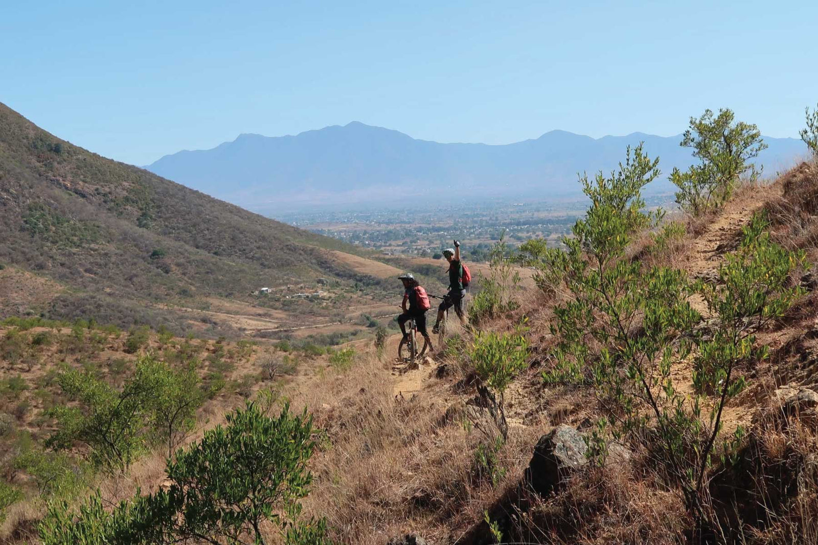 New Colors and Stronger Coating with Adam Morse