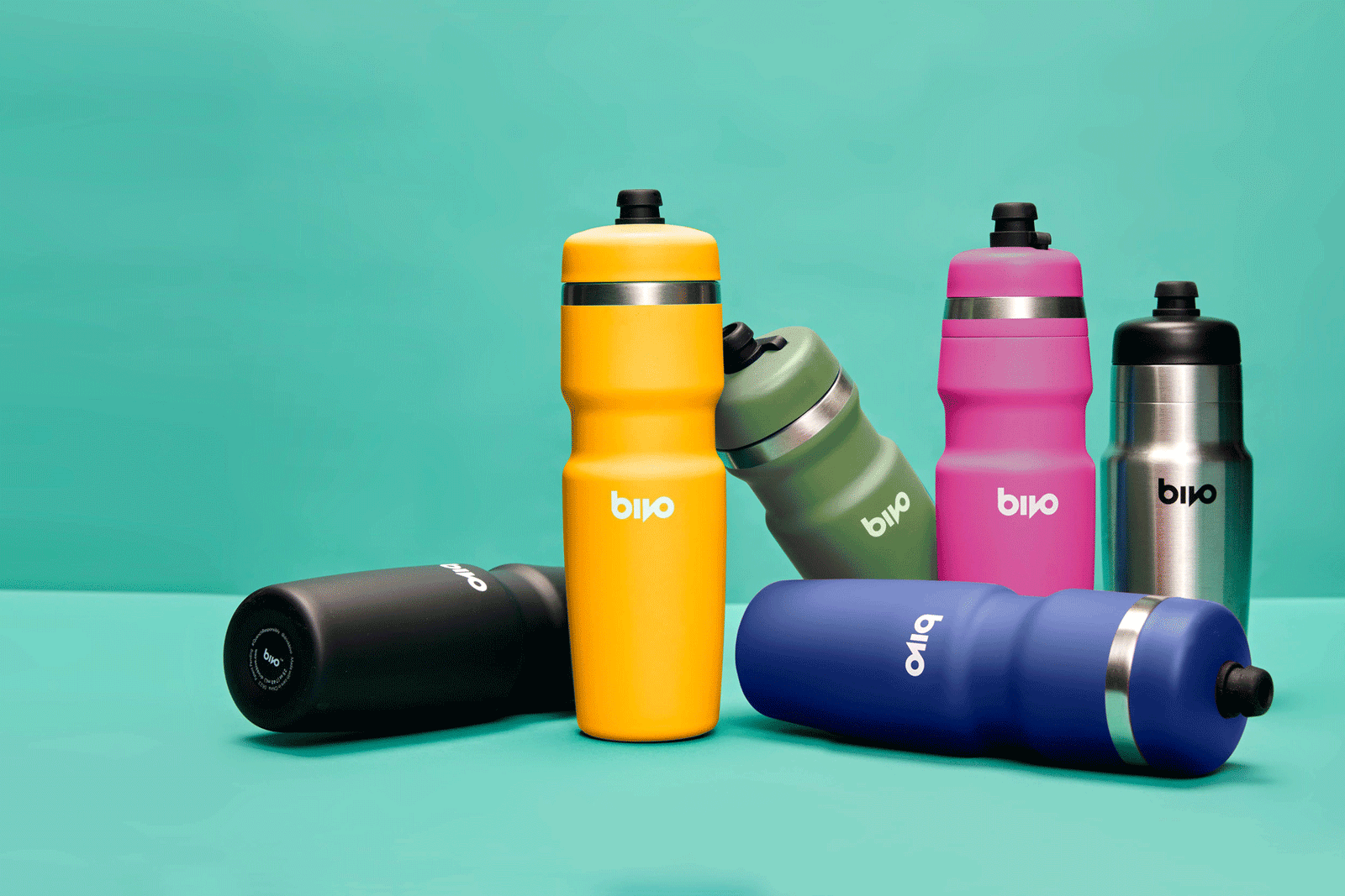 Mango and Cactus Join the Party!