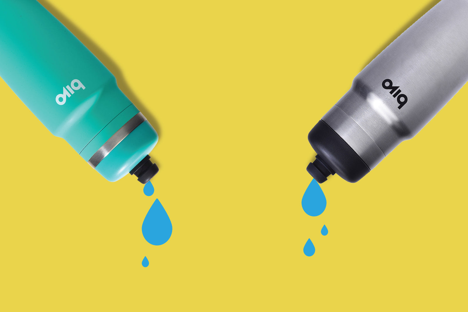 Bivo One vs. Bivo One Raw