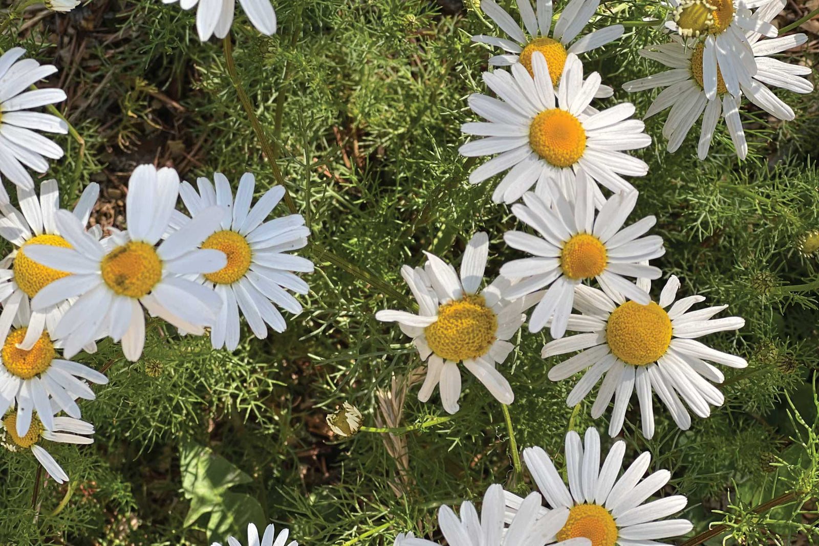 Oh Me, Oh My, An Event Packed Week in CO!