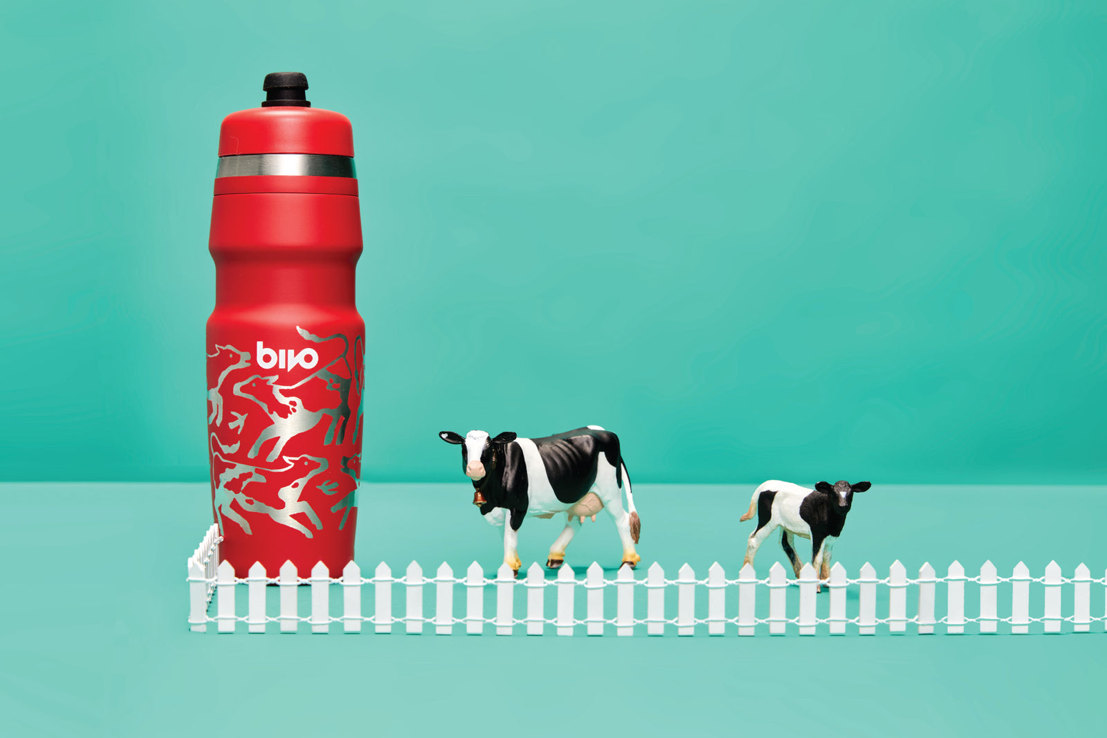 Happy Holsteins: An Ode to Vermont