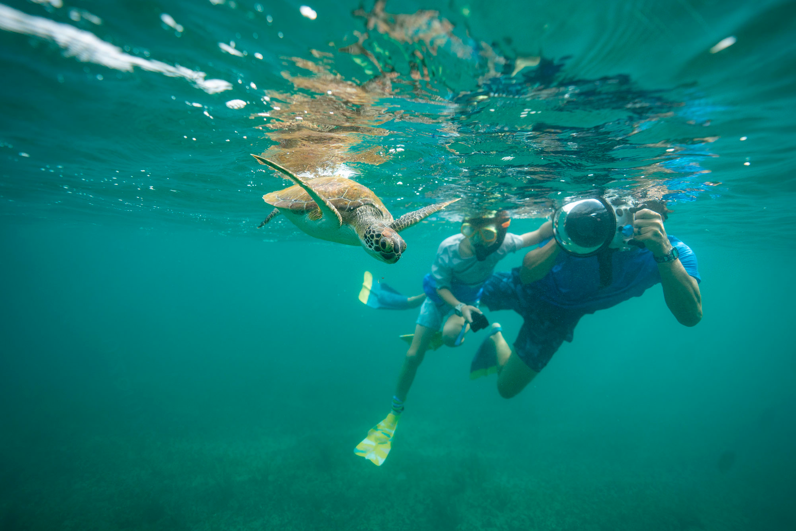 A Turtle Bottle for the Ocean & An Interview with an Ocean Expert