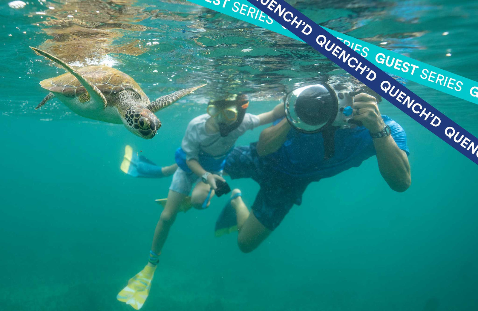 Quench'd: Passion for Sea Turtles and Bikes