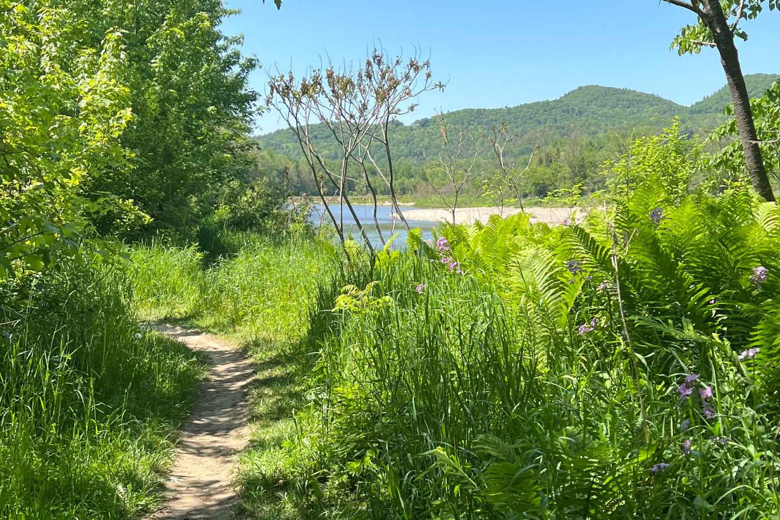 Richmond Mountain Trails