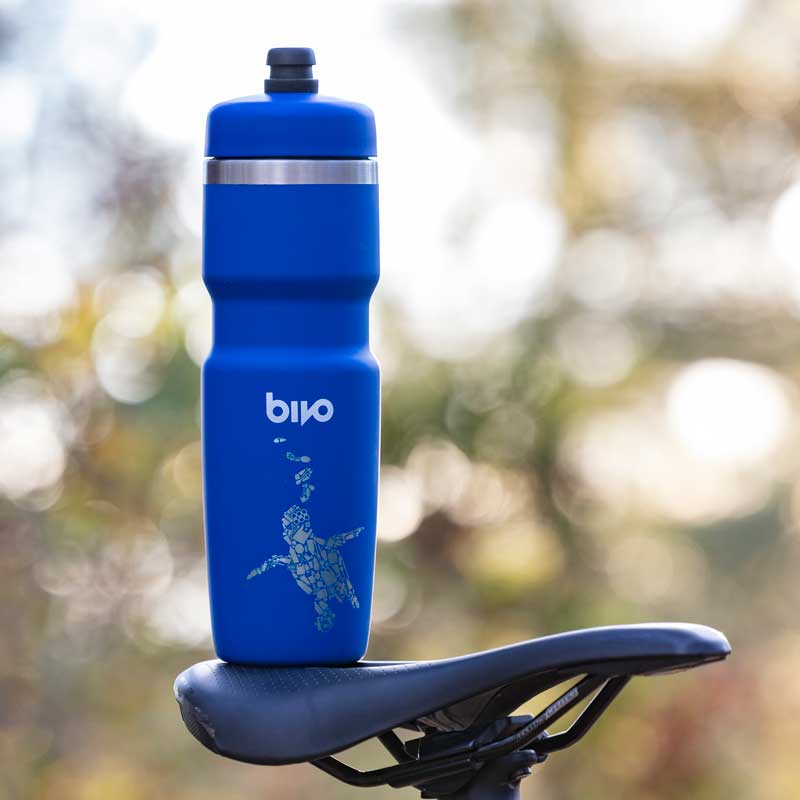 Sea Turtle Collaboration bottle with Ben Hicks.