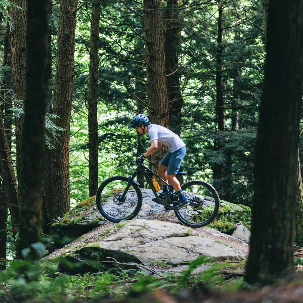 Person mountain biking on a rocky trail in a forest