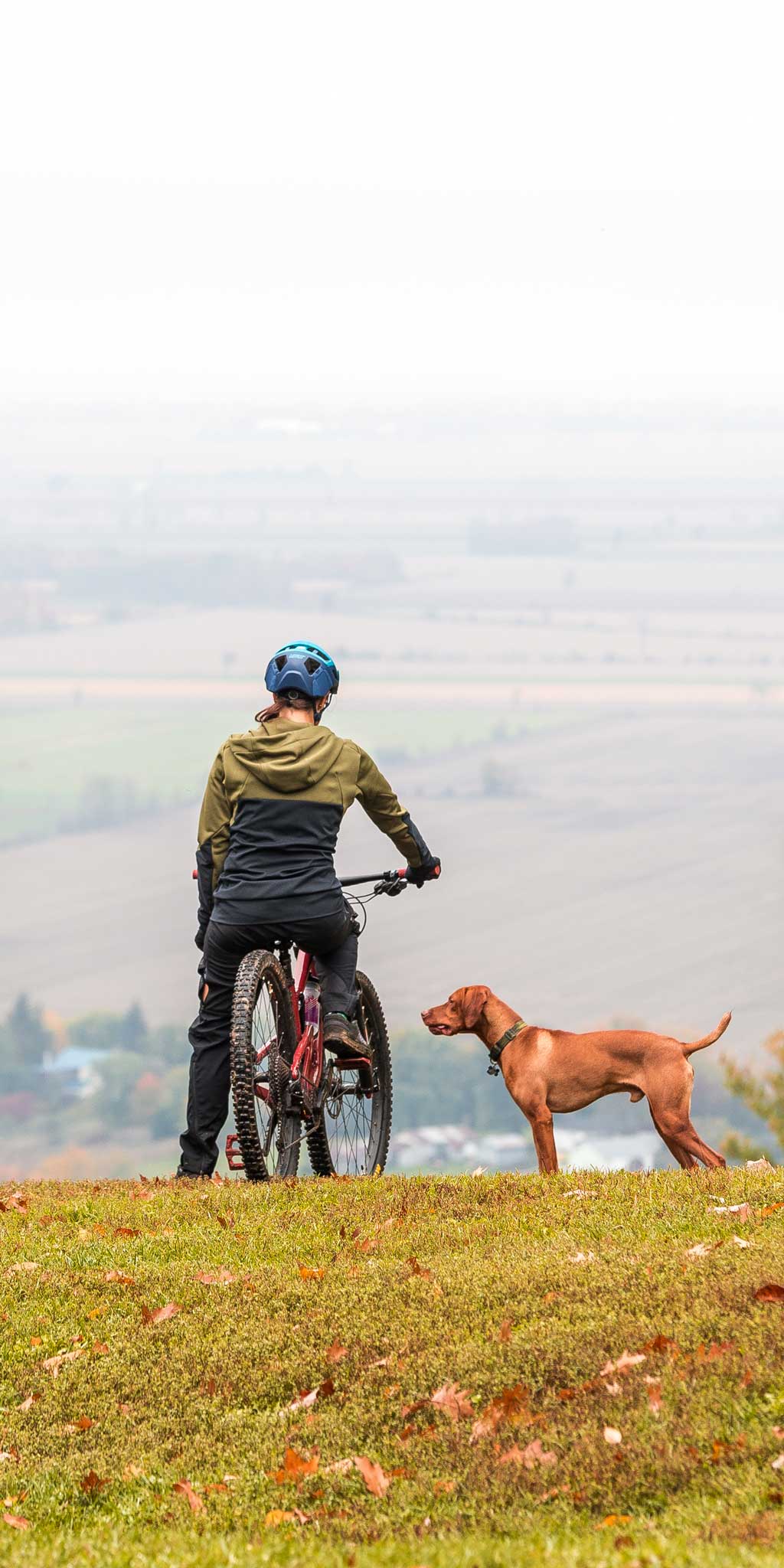 Sam's Bike Terms You Need to Know - Bivo